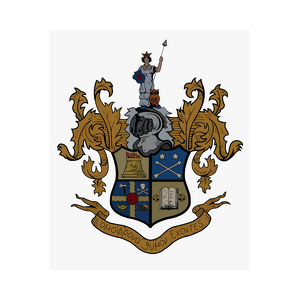 Team Page: Volleyballey club